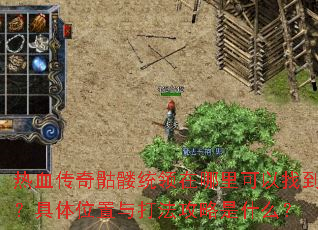 热血传奇骷髅统领在哪里可以找到?具体位置与打法攻略是什么? 热血传奇骷髅统领在哪里可以找到?具体位置与打法攻略是什么?
