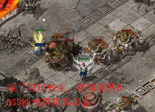�������������������ЩBOSS�ܵ�������װ����