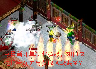 �����¿���ְҵ˽������ο�������ս�����ȡ����װ����