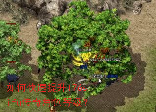 如何快速提升176sifu传奇角色等级? 如何快速提升176sifu传奇角色等级?