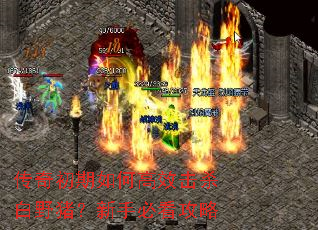 ���������θ�Ч��ɱ��Ұ�������ֱؿ�����
