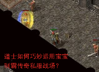 道士如何巧妙运用宝宝制霸传奇私服战场? 道士如何巧妙运用宝宝制霸传奇私服战场?