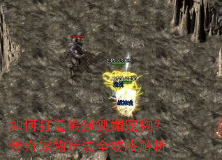 如何打造最强狐媚宠物?传奇宠物玩法全攻略解析 如何打造最强狐媚宠物?传奇宠物玩法全攻略解析