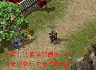 如何打造最强狐媚宠物?传奇宠物玩法全攻略解析 如何打造最强狐媚宠物?传奇宠物玩法全攻略解析