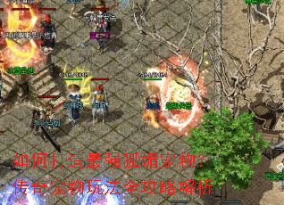 如何打造最强狐媚宠物?传奇宠物玩法全攻略解析 如何打造最强狐媚宠物?传奇宠物玩法全攻略解析