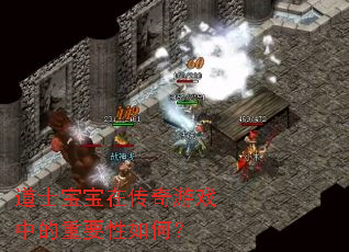 道士宝宝在传奇游戏中的重要性如何? 道士宝宝在传奇游戏中的重要性如何?