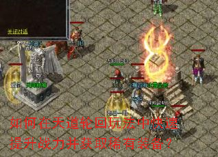 如何在天道轮回玩法中快速提升战力并获取稀有装备? 如何在天道轮回玩法中快速提升战力并获取稀有装备?