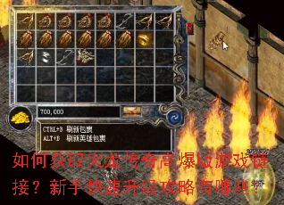 如何获取火龙传奇高爆版游戏链接?新手快速升级攻略有哪些? 如何获取火龙传奇高爆版游戏链接?新手快速升级攻略有哪些?