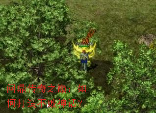 问鼎传奇之巅:如何打造不败神话? 问鼎传奇之巅:如何打造不败神话?