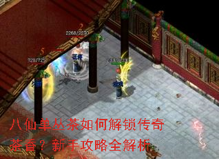 八仙单丛茶如何解锁传奇茶香?新手攻略全解析 八仙单丛茶如何解锁传奇茶香?新手攻略全解析