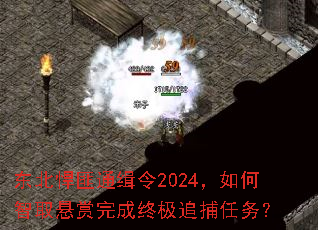 ��������ͨ����2024�������ȡ��������ռ�׷������