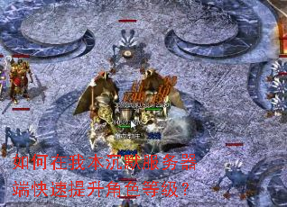 如何在我本沉默服务器端快速提升角色等级? 如何在我本沉默服务器端快速提升角色等级?
