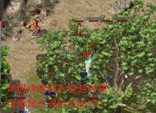 如何快速提升遨游纵横传奇角色等级与战力? 如何快速提升遨游纵横传奇角色等级与战力?