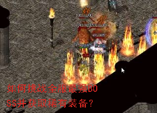 如何挑战全服最强BOSS并获取稀有装备? 如何挑战全服最强BOSS并获取稀有装备?