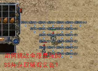 如何挑战全服最强BOSS并获取稀有装备? 如何挑战全服最强BOSS并获取稀有装备?