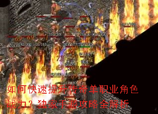 ��ο����������浥ְҵ��ɫս�����������ι���ȫ����