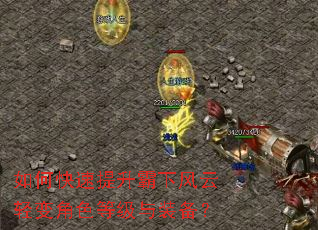 如何快速提升霸下风云轻变角色等级与装备? 如何快速提升霸下风云轻变角色等级与装备?