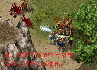 道士如何平衡命中与暴击属性以提升实战输出? 道士如何平衡命中与暴击属性以提升实战输出?