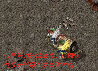 传奇法师升级缓慢,如何快速提升等级?求高效攻略 传奇法师升级缓慢,如何快速提升等级?求高效攻略