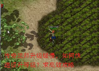 传奇法师升级缓慢,如何快速提升等级?求高效攻略 传奇法师升级缓慢,如何快速提升等级?求高效攻略