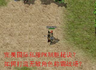完美国际私服PK制胜秘诀?如何打造无敌角色称霸战场? 完美国际私服PK制胜秘诀?如何打造无敌角色称霸战场?