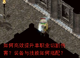 如何高效提升单职业切割伤害?装备与技能如何搭配? 如何高效提升单职业切割伤害?装备与技能如何搭配?
