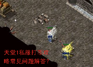 天堂1私服打币攻略常见问题解答? 天堂1私服打币攻略常见问题解答?