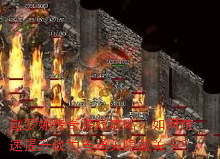 迦罗娜传奇游戏攻略:如何快速提升战力与通关隐藏关卡? 迦罗娜传奇游戏攻略:如何快速提升战力与通关隐藏关卡?