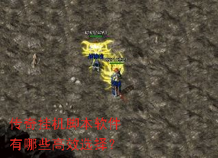 传奇挂机脚本软件有哪些高效选择? 传奇挂机脚本软件有哪些高效选择?
