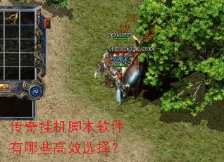 传奇挂机脚本软件有哪些高效选择? 传奇挂机脚本软件有哪些高效选择?