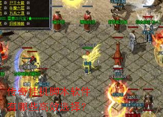 传奇挂机脚本软件有哪些高效选择? 传奇挂机脚本软件有哪些高效选择?