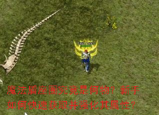 魔法盾座圈究竟是何物?新手如何快速获取并强化其属性? 魔法盾座圈究竟是何物?新手如何快速获取并强化其属性?