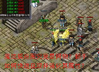 魔法盾座圈究竟是何物?新手如何快速获取并强化其属性? 魔法盾座圈究竟是何物?新手如何快速获取并强化其属性?