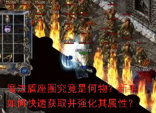 魔法盾座圈究竟是何物?新手如何快速获取并强化其属性? 魔法盾座圈究竟是何物?新手如何快速获取并强化其属性?