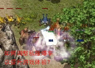 如何调整私服爆率以提升游戏体验? 如何调整私服爆率以提升游戏体验?