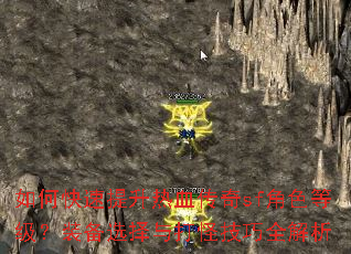 如何快速提升热血传奇sf角色等级?装备选择与打怪技巧全解析 如何快速提升热血传奇sf角色等级?装备选择与打怪技巧全解析