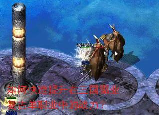 ��ο���������������ҵ���ŵ�ְҵ�е�ս����