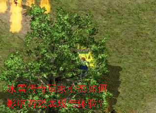 冰雪传奇玩家心态如何影响游戏表现与体验? 冰雪传奇玩家心态如何影响游戏表现与体验?